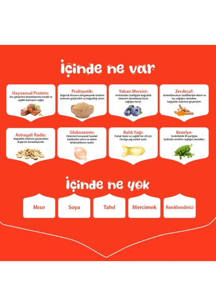 Tahılsız Sığır Etli Yetişkin Köpek Maması 1,5 kg indirimleri