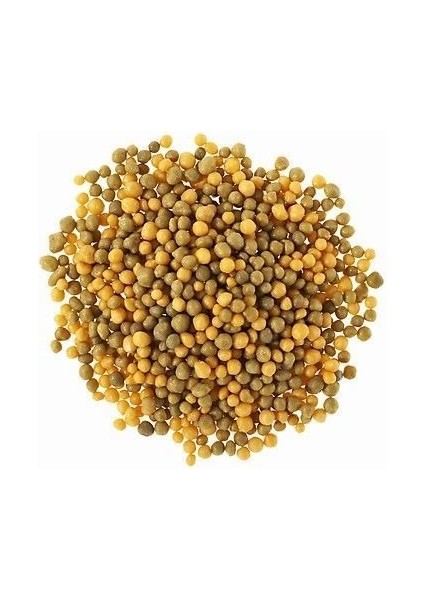 Akıllı Gübre Osmocote Exact 8-9 Aylık 15-9-12-2mgo+Te 350 Gram fiyatları