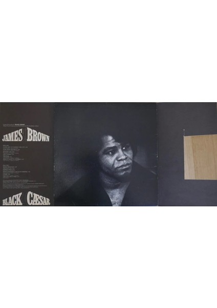 James Brown - Black Caesar - Dönem Baskı Plak modelleri