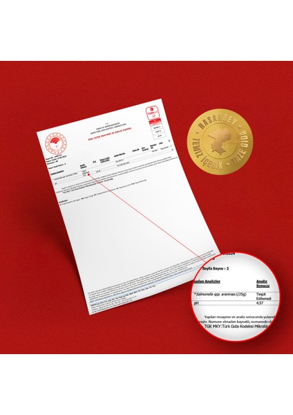 %100 Dana Etinden File Sucuk 500 Gr fırsatları