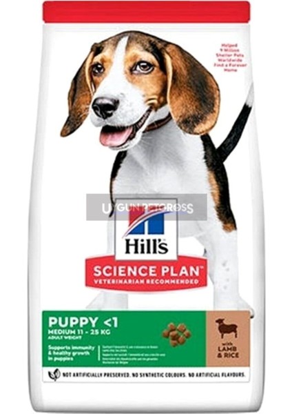 Puppy Lamb Kuzu Etli Yavru Köpek Maması 14 kg