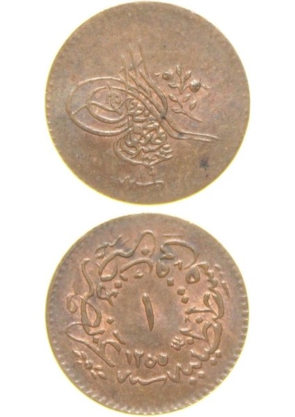 Sultan Abdülmecid 1255/19 Bakır 1 Para - Çil