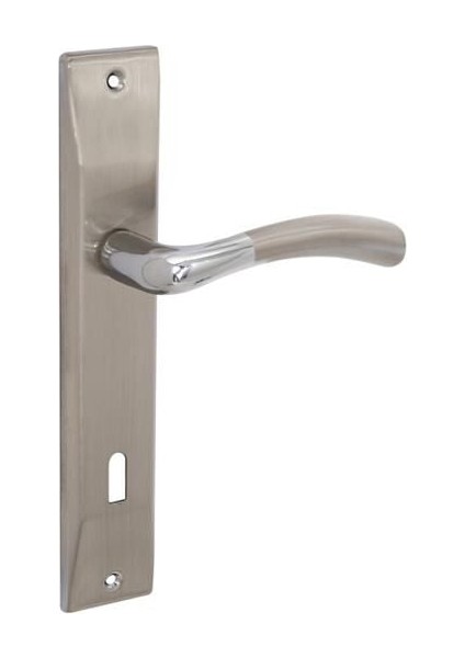 Lüks Aynalı Oda Kapı Kol