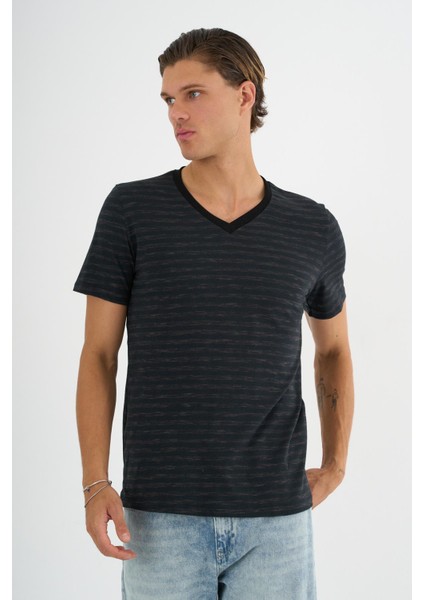 Alexandergardı V Yaka Çizgili T-Shirt