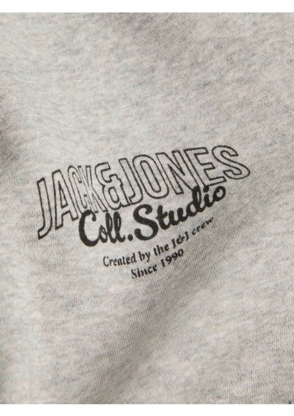 JJMAKOTO SWEAT ZIP HOOD GRI MELANJ Erkek Fermuarlı Sweatshirt modelleri