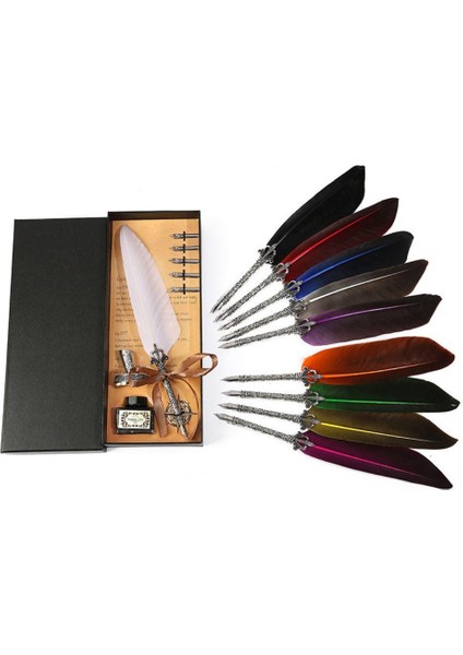 Tüy Divit Antik Kaligrafi Kalem Mürekkep Seti ve 5 Farklı Uç 27 cm Mor