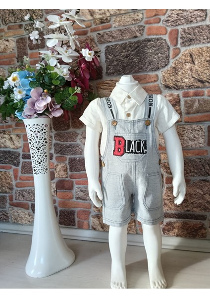 Yazlık Erkek Çocuk Şortlu Tulum ve Gömlek Takımı