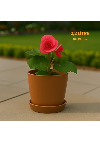 Modern Begonya Saksı 2,2 Litre Tabaklı Çiçek Saksısı – Iç ve Dış Mekana Uygun 16X15 cm