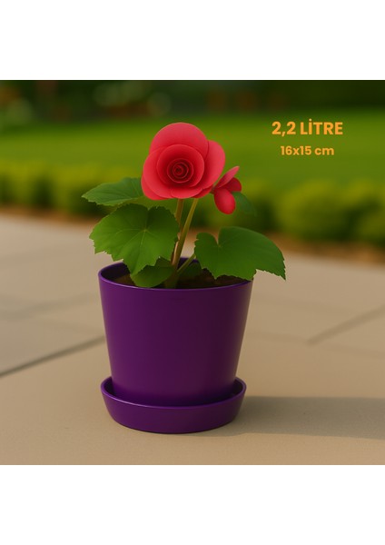 Modern Begonya Saksı 2,2 Litre Tabaklı Çiçek Saksısı – Iç ve Dış Mekana Uygun 16X15 cm