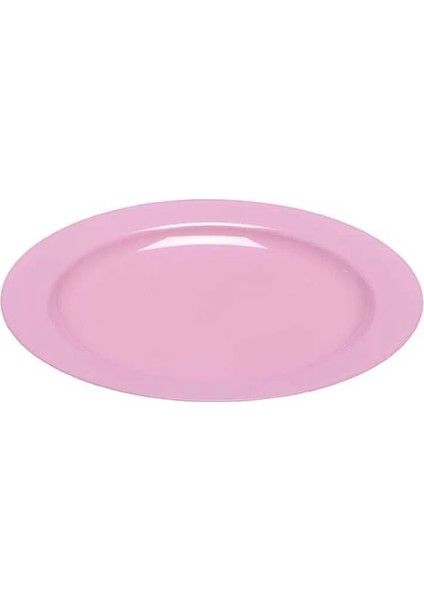 Plastik Pembe Tabak 26 cm - 10 Adet
