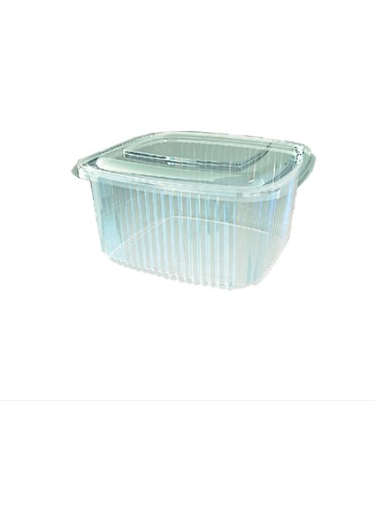 1000 cc Kare Bombe Kapak Sızdırmaz Kap - V31 (100 Adet)