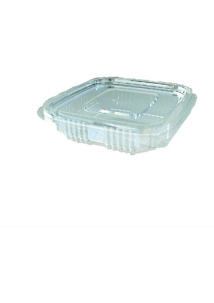 Eko 250 cc Düz Kapak Sızdırmaz Kap (100 Adet)