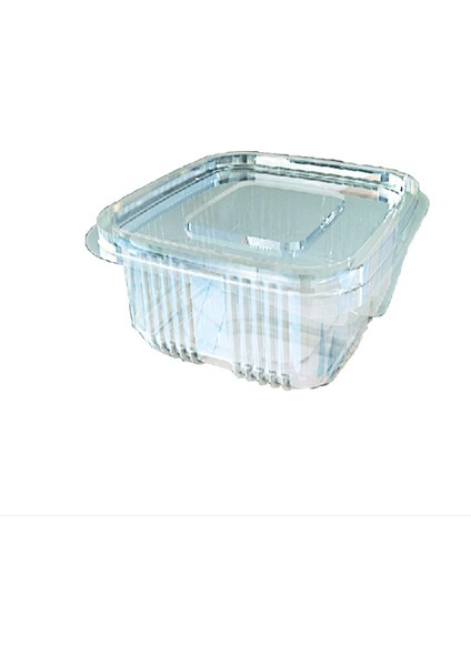 Sızdırmaz Kap 250 gr Düz Kapak (1000 Adet)