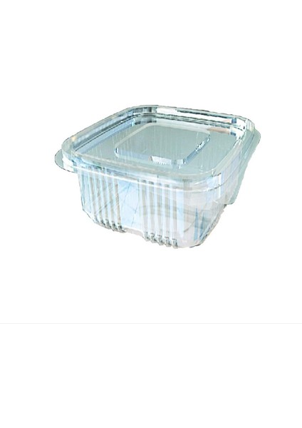 Sızdırmaz Kap 250 gr Düz Kapak (100 Adet)