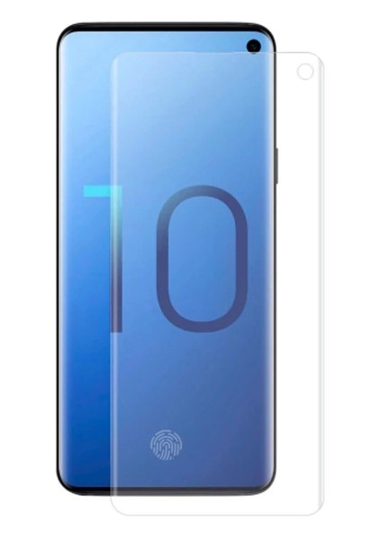 Ally Samsung Galaxy S10 3D Pet Kavisli Ekran KORUYUCU-(1903) - CPTD3414-9230