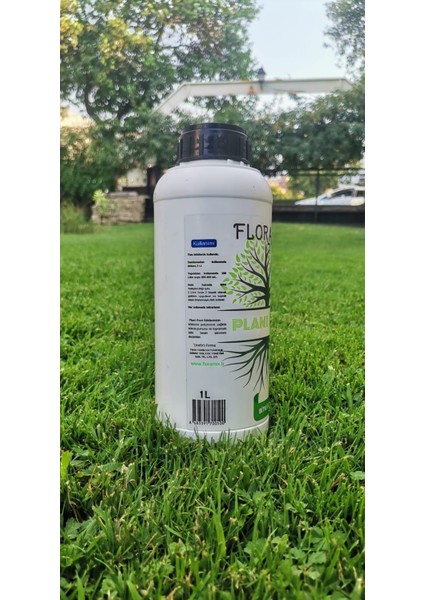 Plant Root modelleri