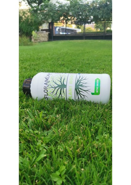 Plant Root fırsatları