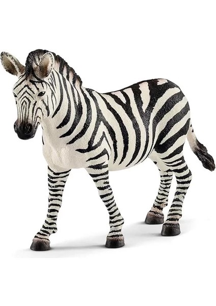 Schleich Dişi Zebra Oyuncak Figürü
