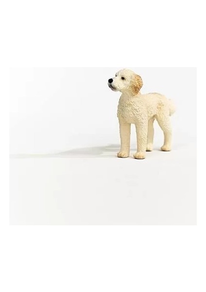 Schleich Goldendoodle fiyatları