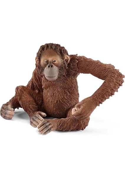 Schleich 14775 – Orang-Utan Şekli Figür