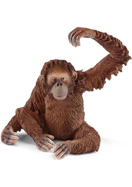 Schleich 14775 – Orang-Utan Şekli Figür fiyatları