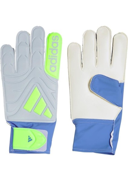 Mavi Kaleci Eldiveni Copa Gl Clb JH3790