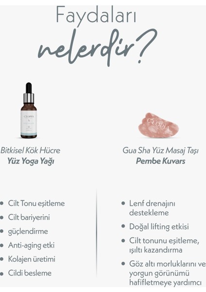 Bitkisel Kök Hücre Anti-Aging Yüz Yoga Yağı Pembe Kuvars Gua Sha Set Zencefil, Ylang Ylang, Çuhaçiçeği modelleri