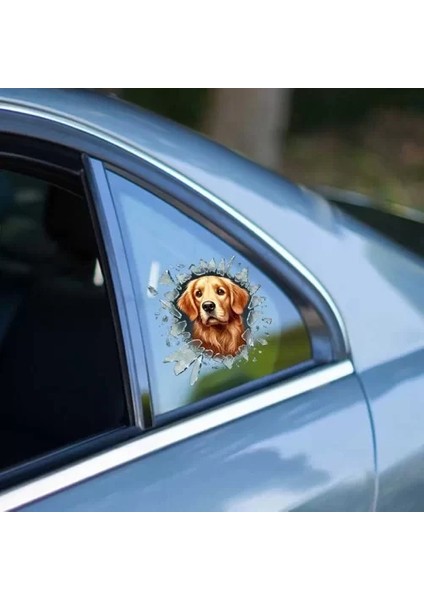 Fulcar Araç Stickerı