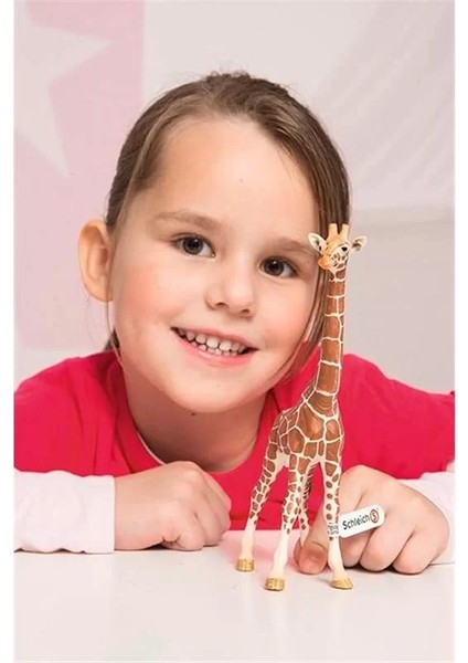 Schleich Wild Life Erkek Zürafa fiyatları