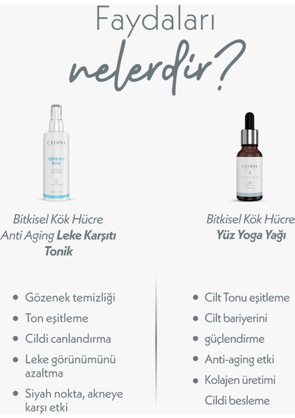 Yaşlanma ve Leke Karşıtı Anti-Aging Bitkisel Kök Hücre Bakımı Tonik Yoga Yağı Aha/bha modelleri
