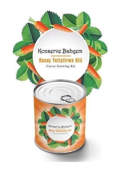 Buffer® Konserve Evde Konservede Havuç Yetiştirme Büyütme Kiti
