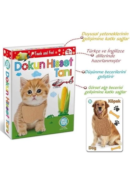 Dokun Hisset Tanı Eğitim Kartları, Zeka Kartları - Touch And Feel fiyatları