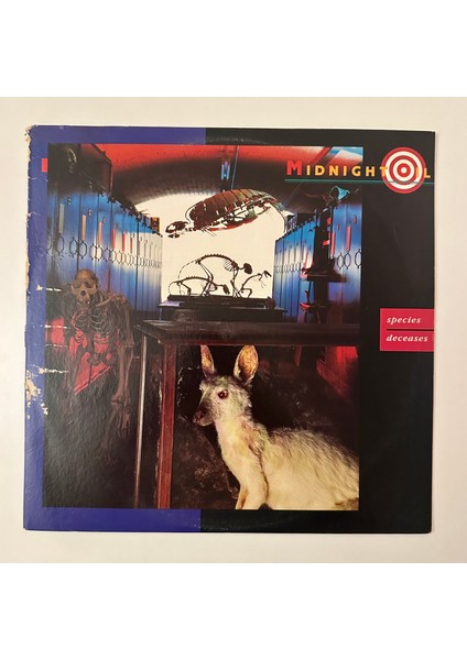 Midnight Oil – Species Deceases Dönem Baskı Maxi Single Plak