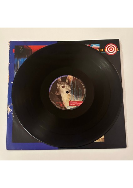 Midnight Oil – Species Deceases Dönem Baskı Maxi Single Plak modelleri