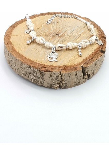 Deniz Kabuğu Lüks Hal Hal