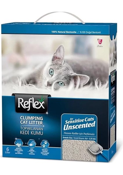 Box Kumu, 6 L fiyatları