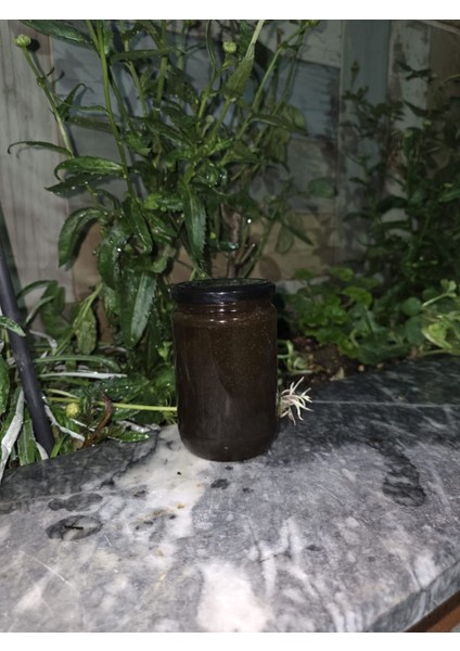 Kestane Balı 425GR fırsatları
