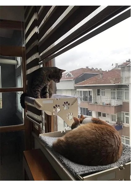 Büyük Boy Ahşap Cama Yapışan Yğı Vantuzlu