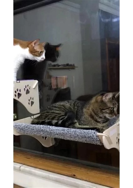 Cama Asılan Yğı Vantuzlu fiyatları