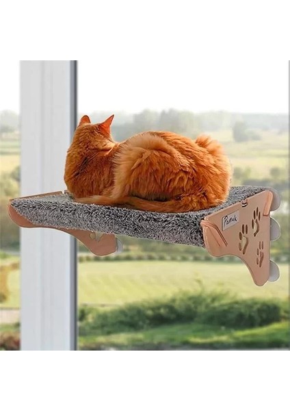 Cama Yapışan Yğı
