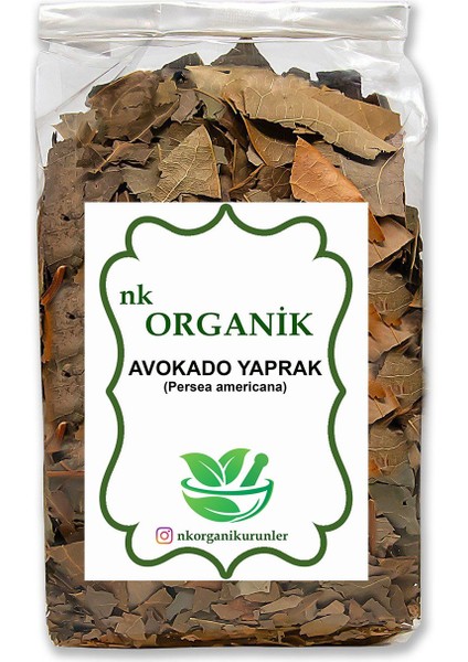 Avokado Yaprak Kuru Doğal 100GR