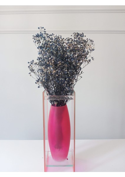 Kurutulmuş Keten Otu Dekoratif Kuru Çiçek (Luna Otu) Yapay Çiçek fiyatları