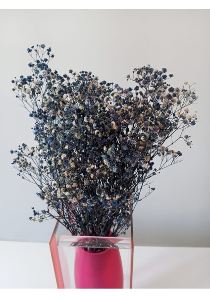 Kurutulmuş Keten Otu Dekoratif Kuru Çiçek (Luna Otu) Yapay Çiçek modelleri