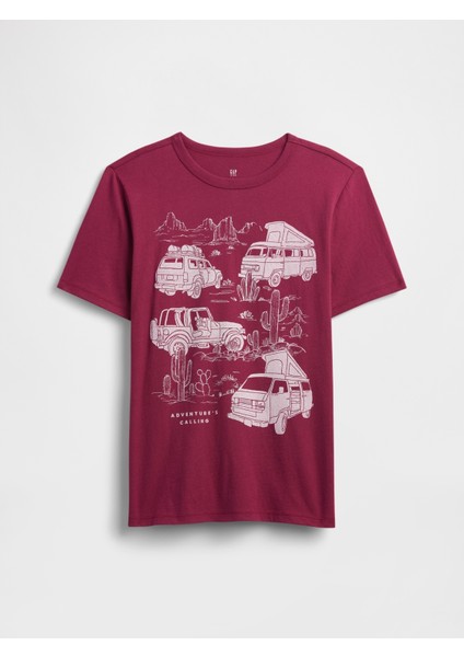 Erkek Çocuk Bordo Grafik Baskılı T-Shirt