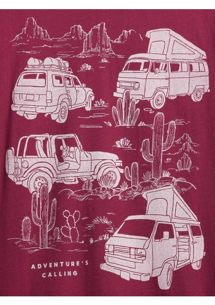 Erkek Çocuk Bordo Grafik Baskılı T-Shirt fiyatları