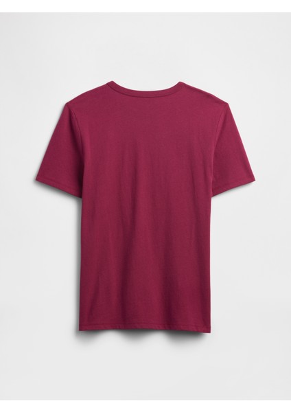 Erkek Çocuk Bordo Grafik Baskılı T-Shirt modelleri
