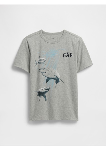 Erkek Çocuk Gri Grafik Baskılı T-Shirt