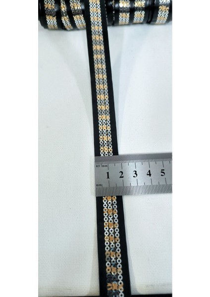 Siyah Deri Üzeri Gümüş Pul Payetli Şerit fırsatları