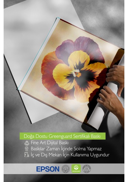 Çerçevesiz Poster, Kırmızı Sarı Menekşe, Eski Stil Bitki Illüstrasyonu Poster No: 107427 indirimleri