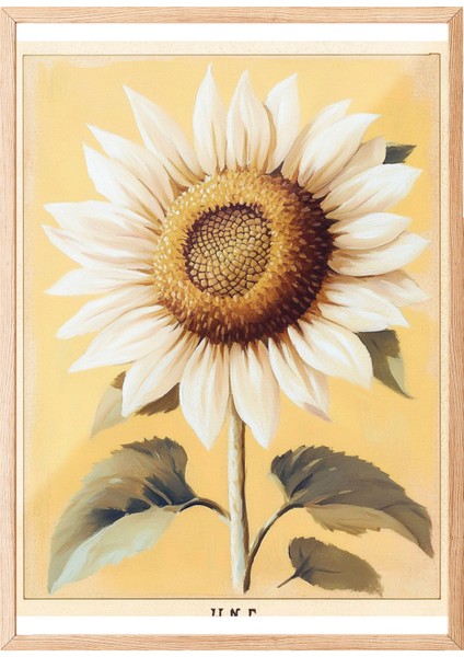 Ahşap Çerçeveli Tablo, Ayçiçeği, Vintage Çiçek Sanatı Poster No: 107436